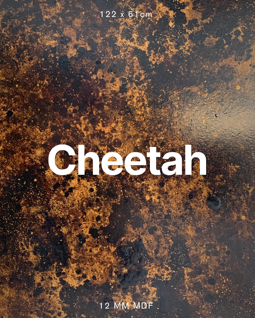 Cheetah