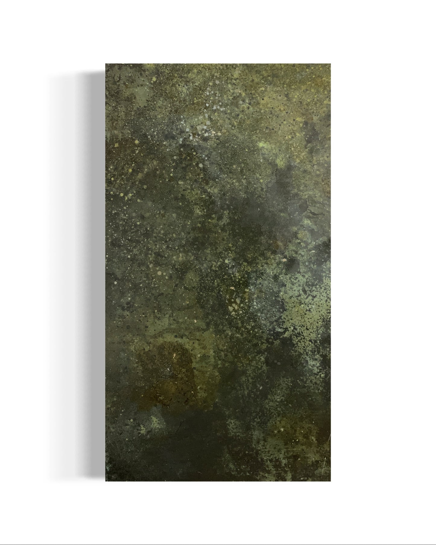 Moss