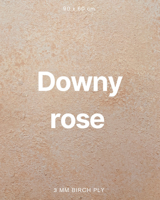 Downy rose